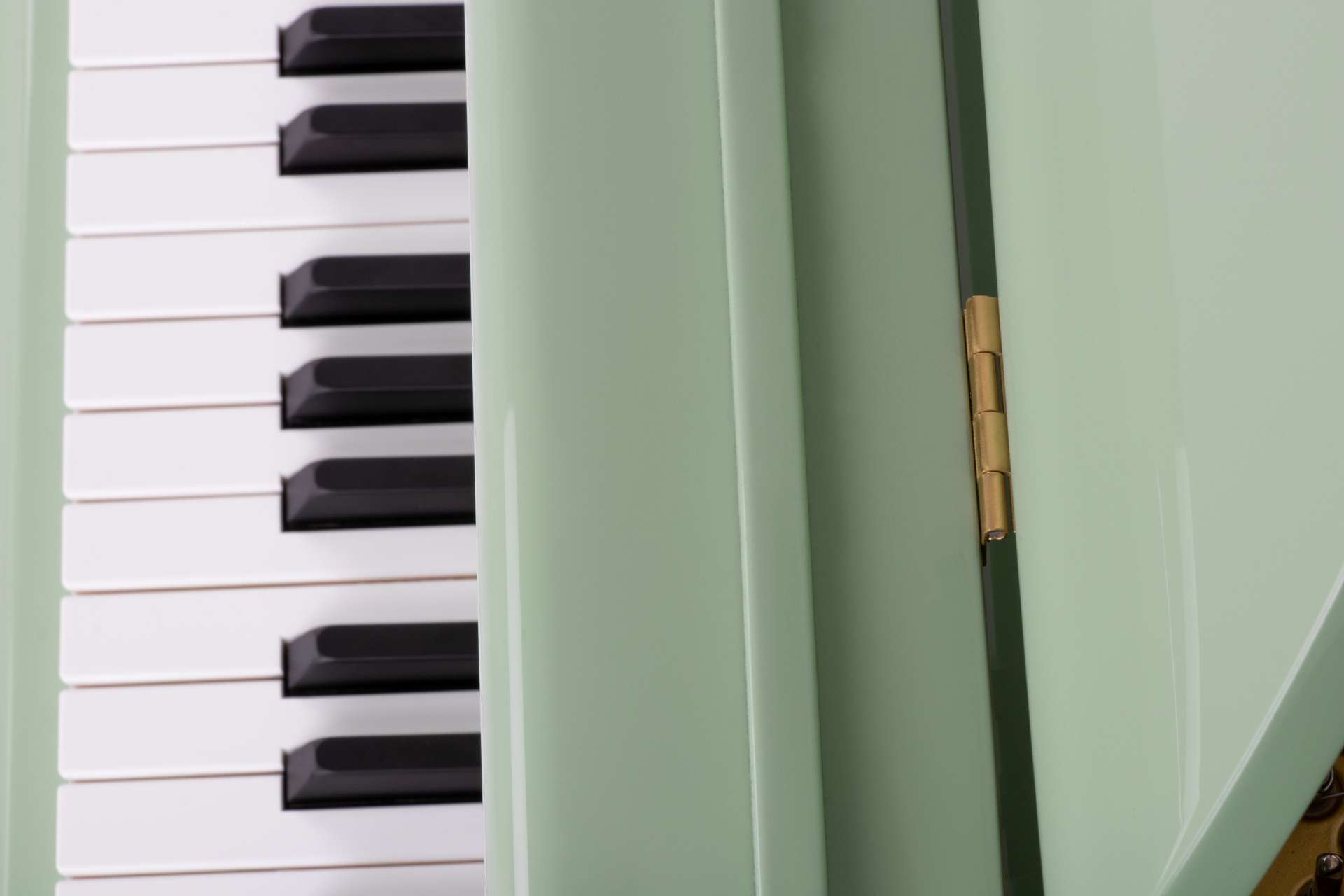 The Classic Sygnet In Green(2)