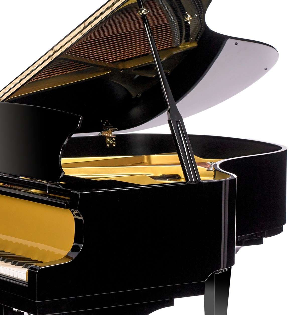 Classic Flugel Black and Gold