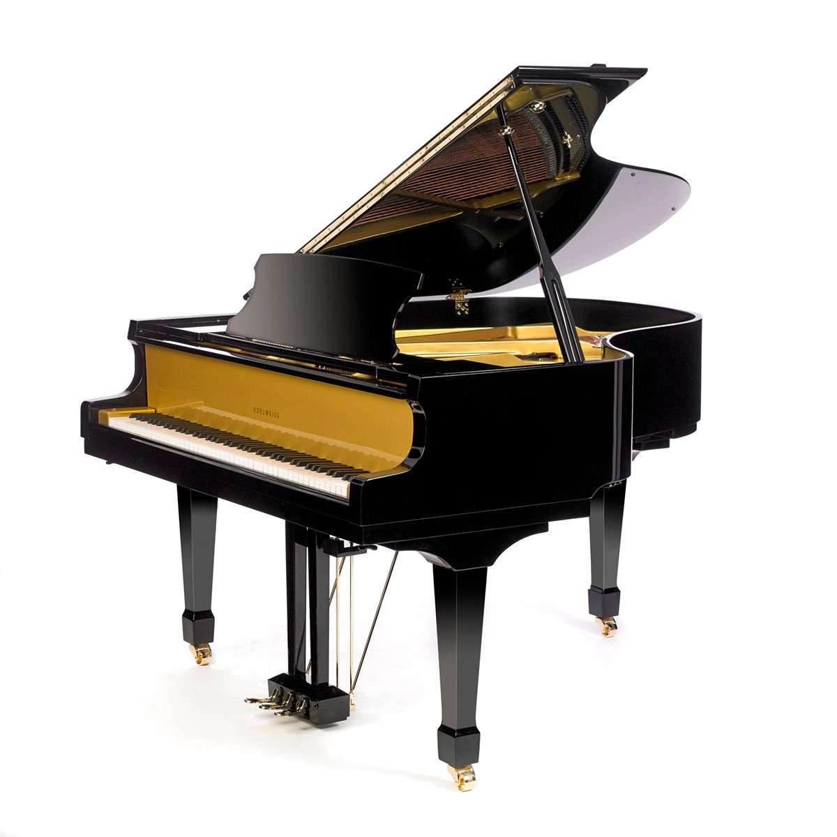 Classic Flugel Black and Gold (1)