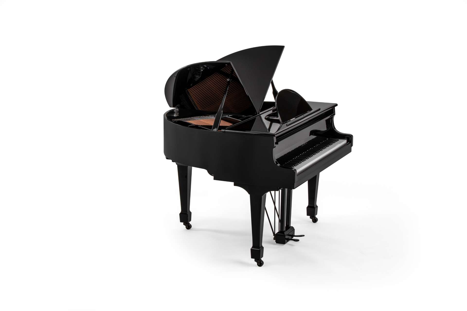 Classic Sygnet in All Black(7)