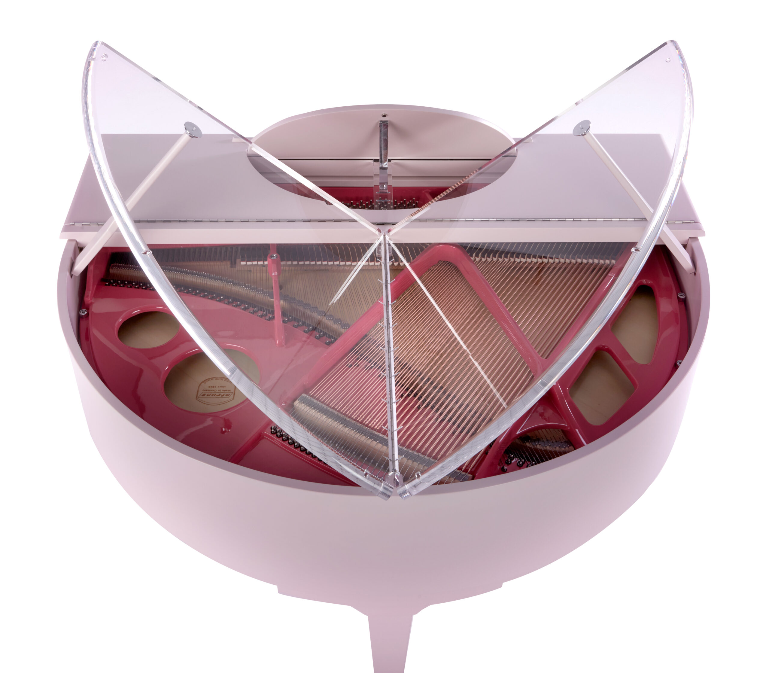 Edelweiss Classic Sygnet Pink with Transparent Parts2