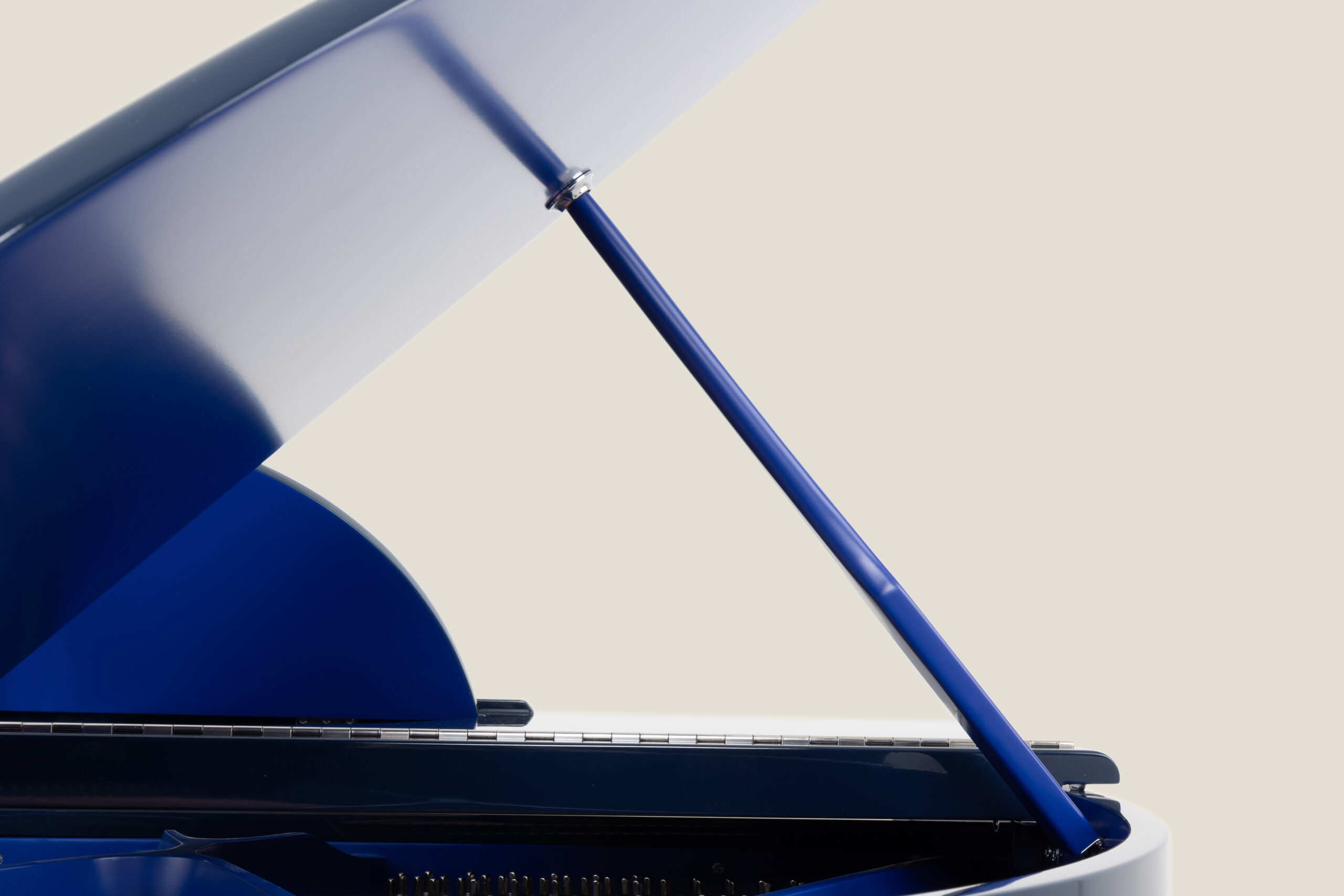 Classic Sygnet With Contrast Blue Colours(13)