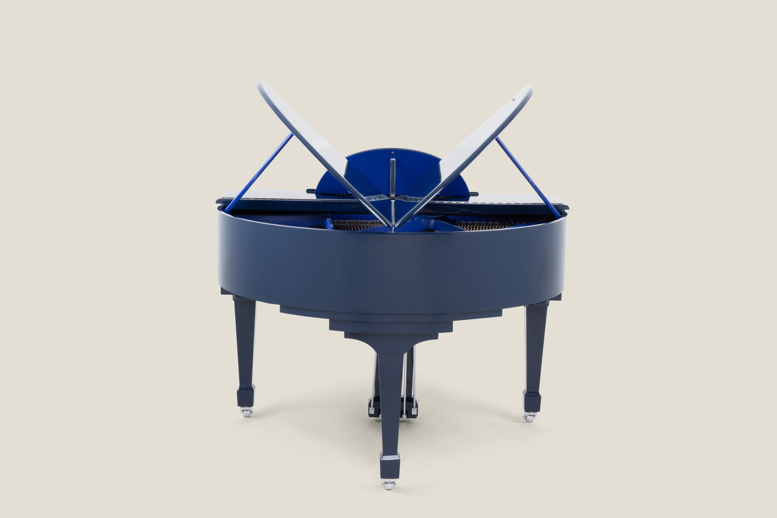 Classic Sygnet With Contrast Blue Colours(3)
