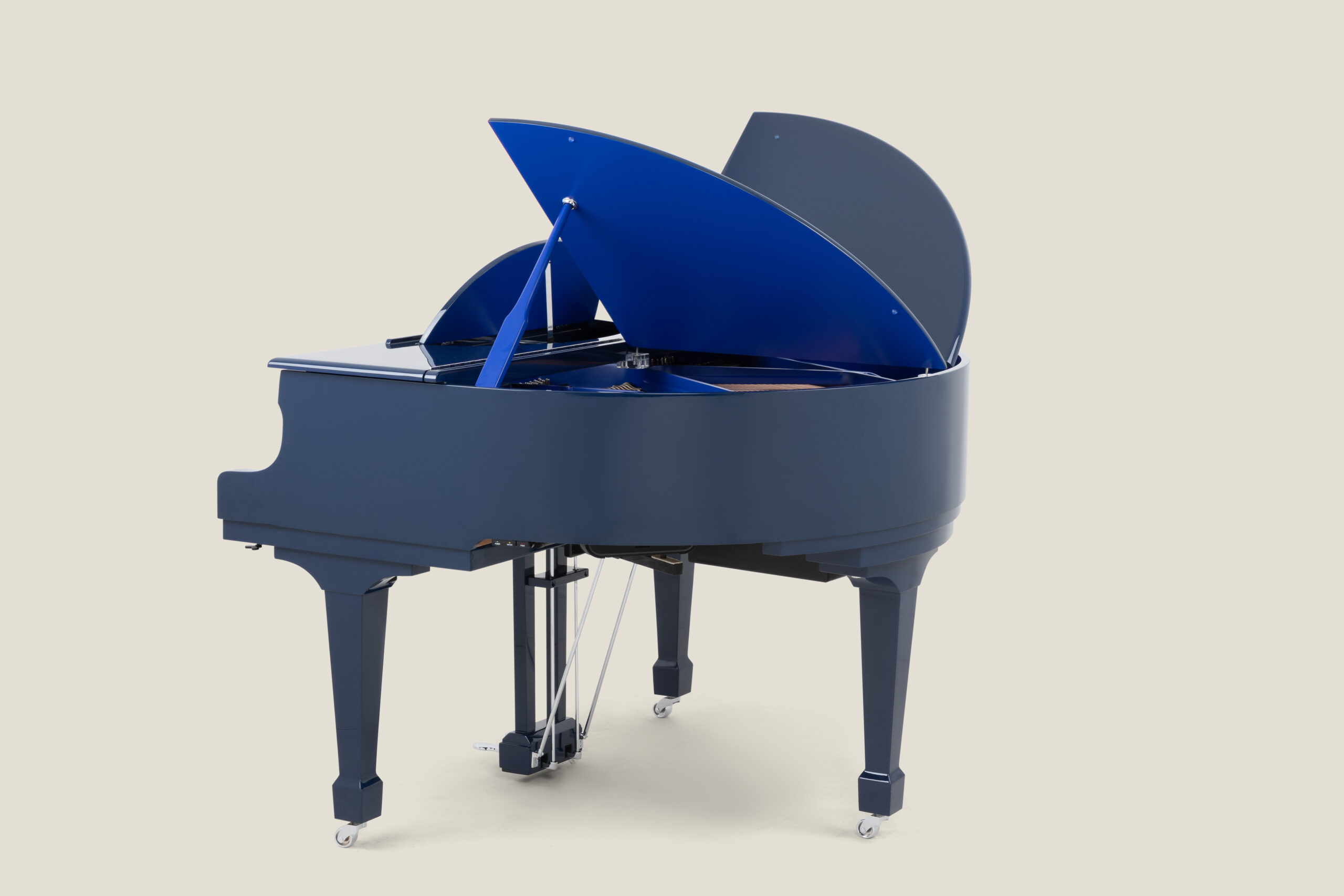 Classic Sygnet With Contrast Blue Colours(2)