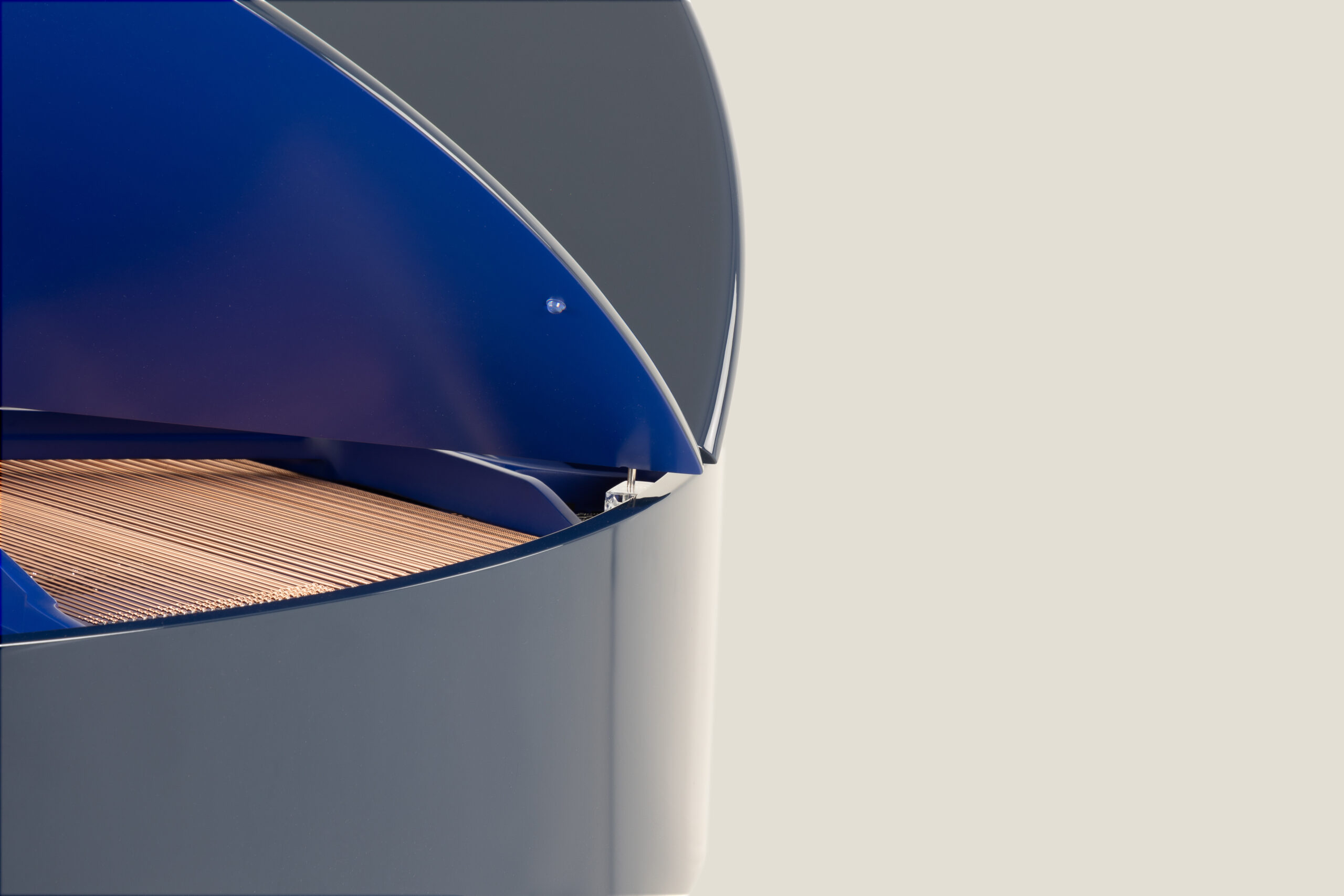 Classic Sygnet With Contrast Blue Colours(1)