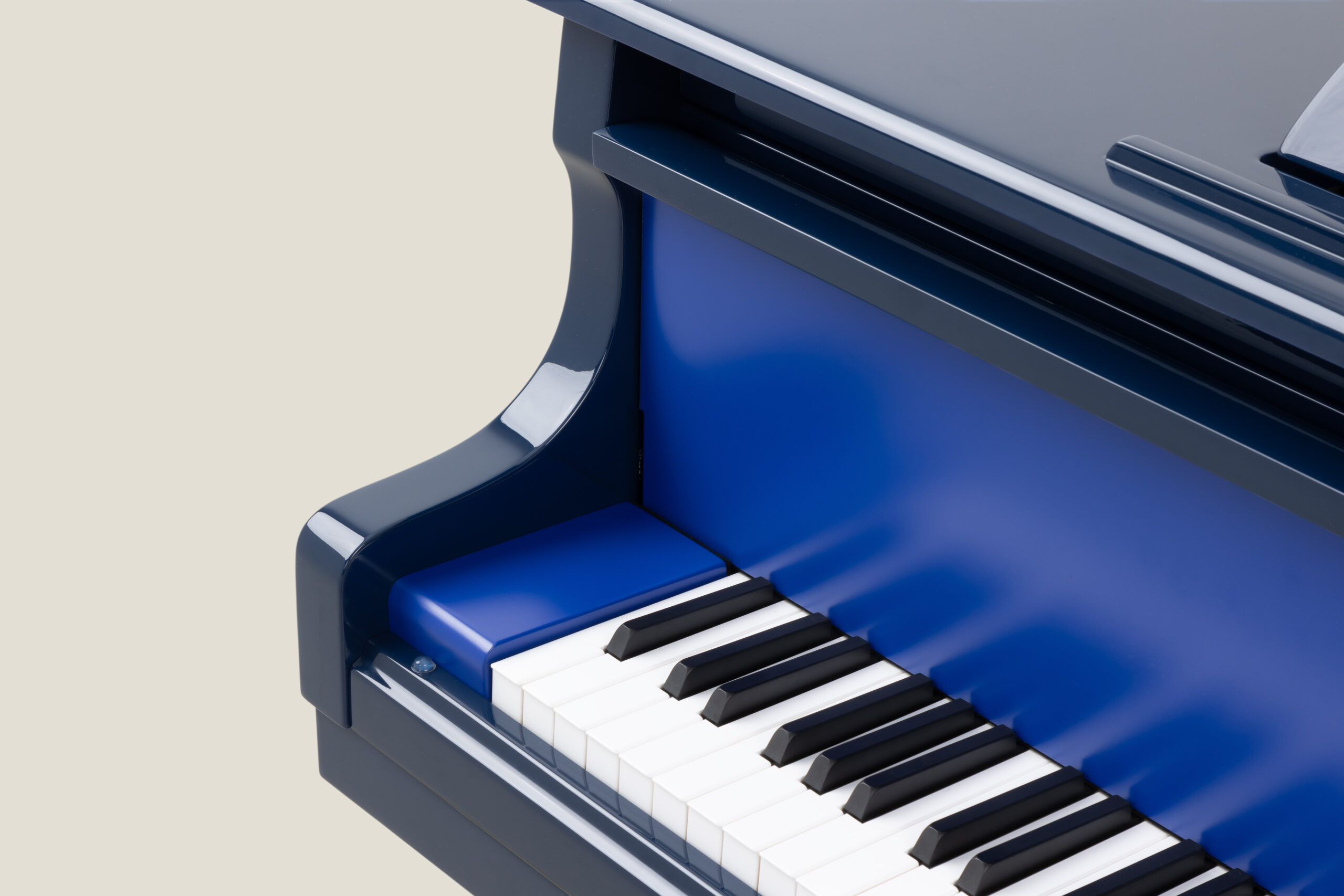 Classic Sygnet With Contrast Blue Colours(4)