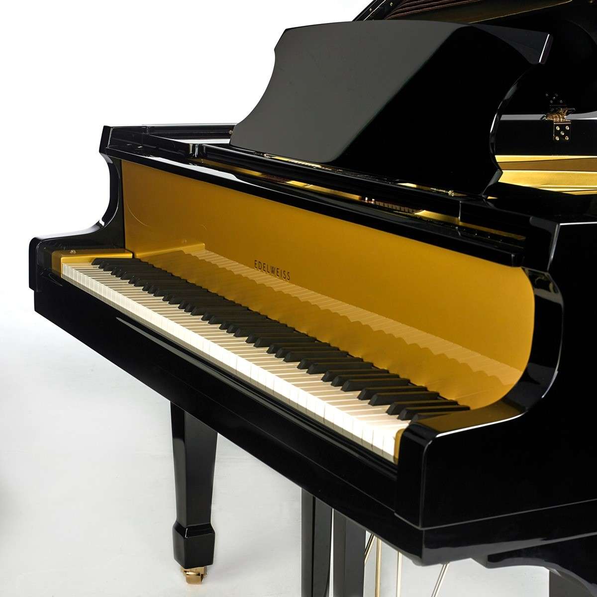 Classic Flugel Black and Gold(3)