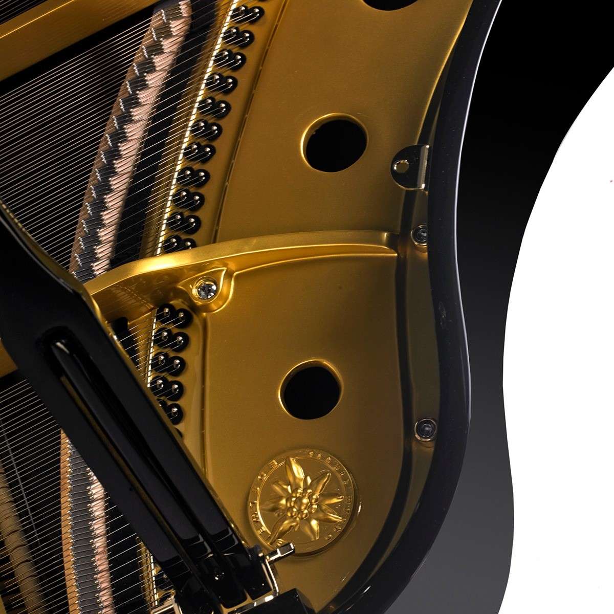 Classic Flugel Black and Gold(8)