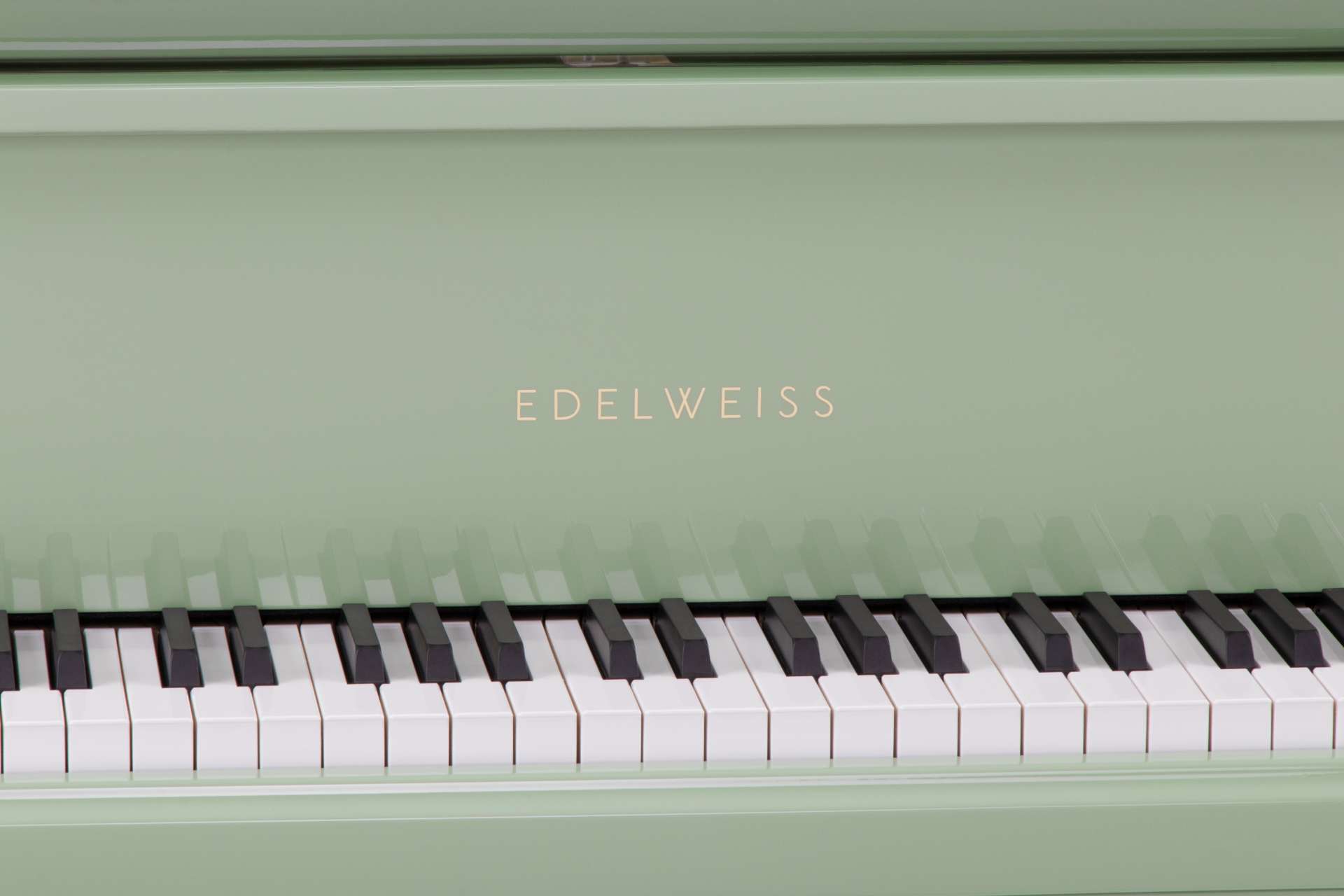 The Classic Sygnet In Green (5)