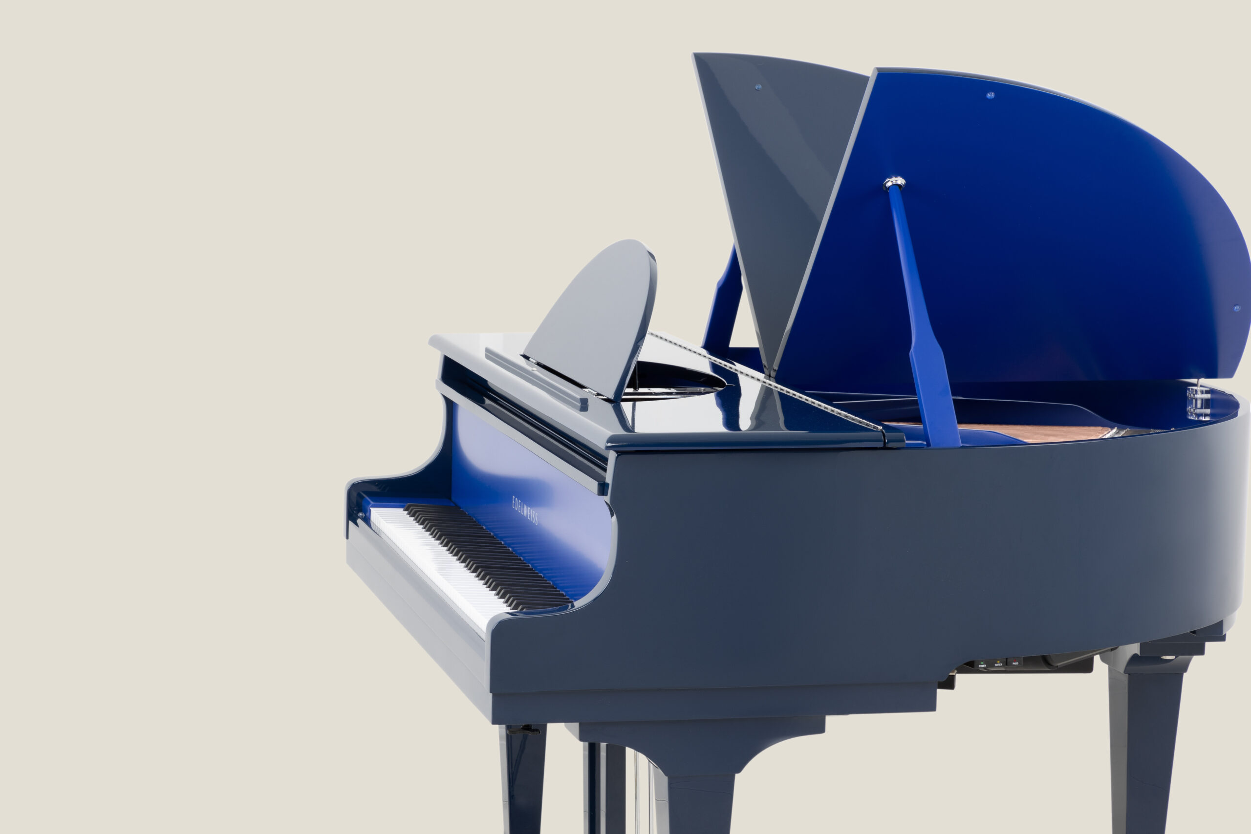 Classic Sygnet With Contrast Blue Colours(14)