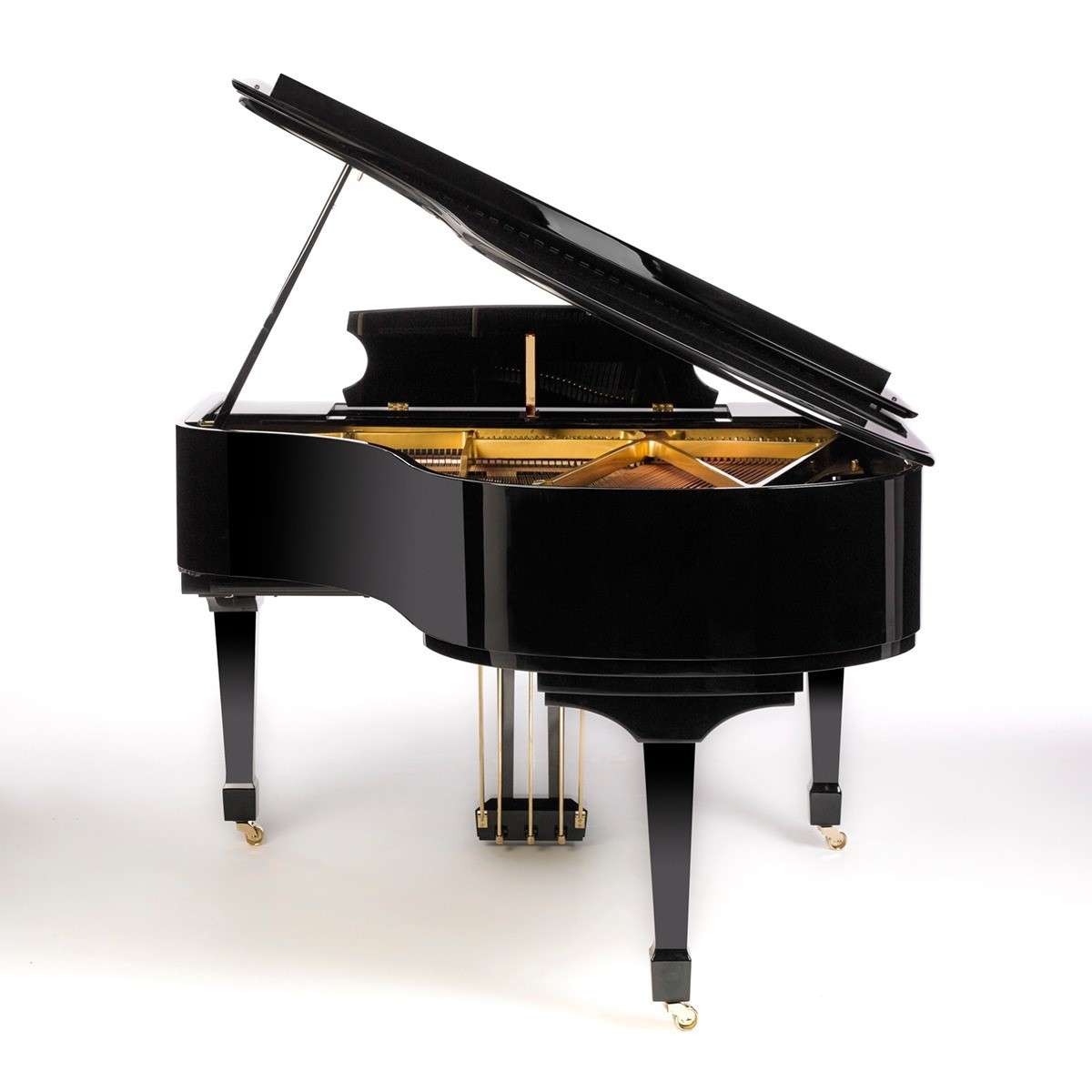 Classic Flugel Black and Gold(5)