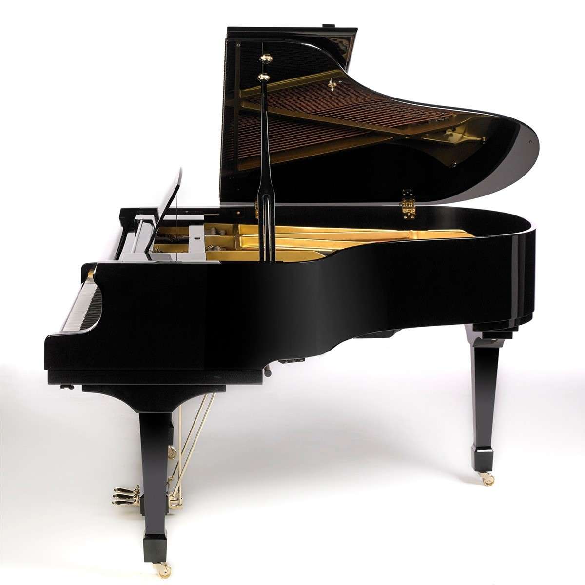 Classic Flugel Black and Gold(2)
