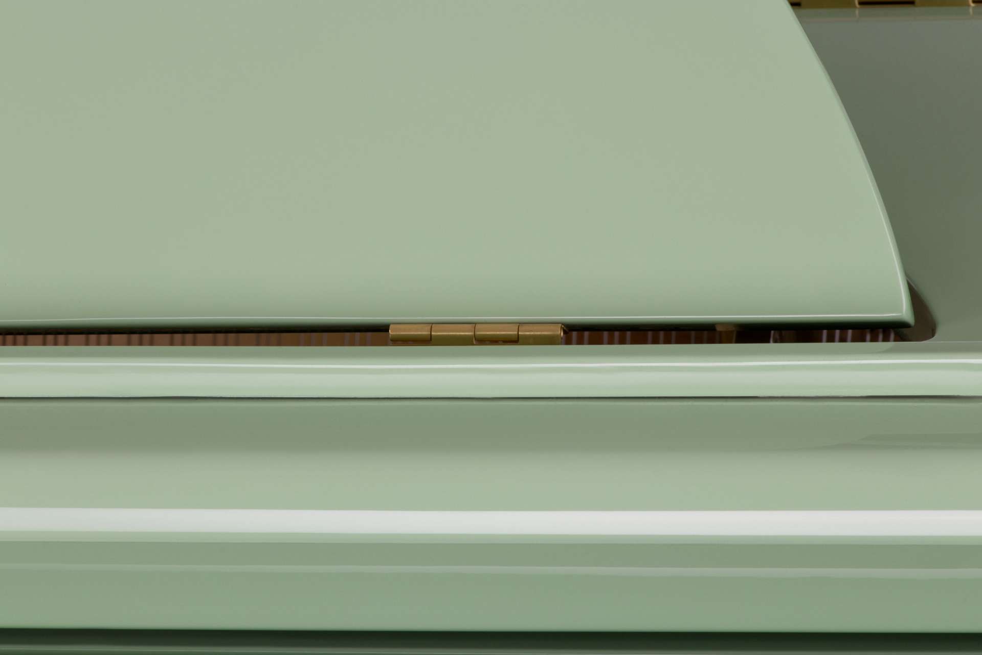 The Classic Sygnet In Green(1)