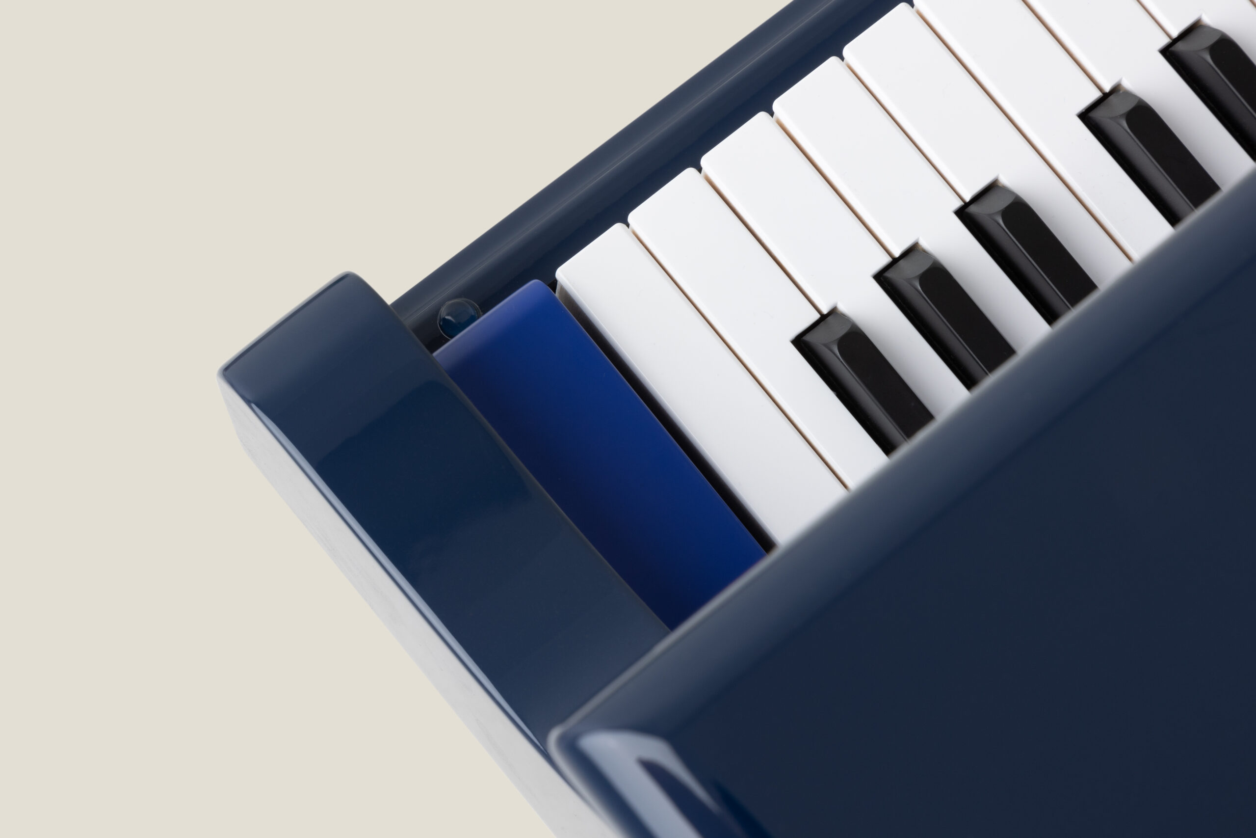 Classic Sygnet With Contrast Blue Colours(9)