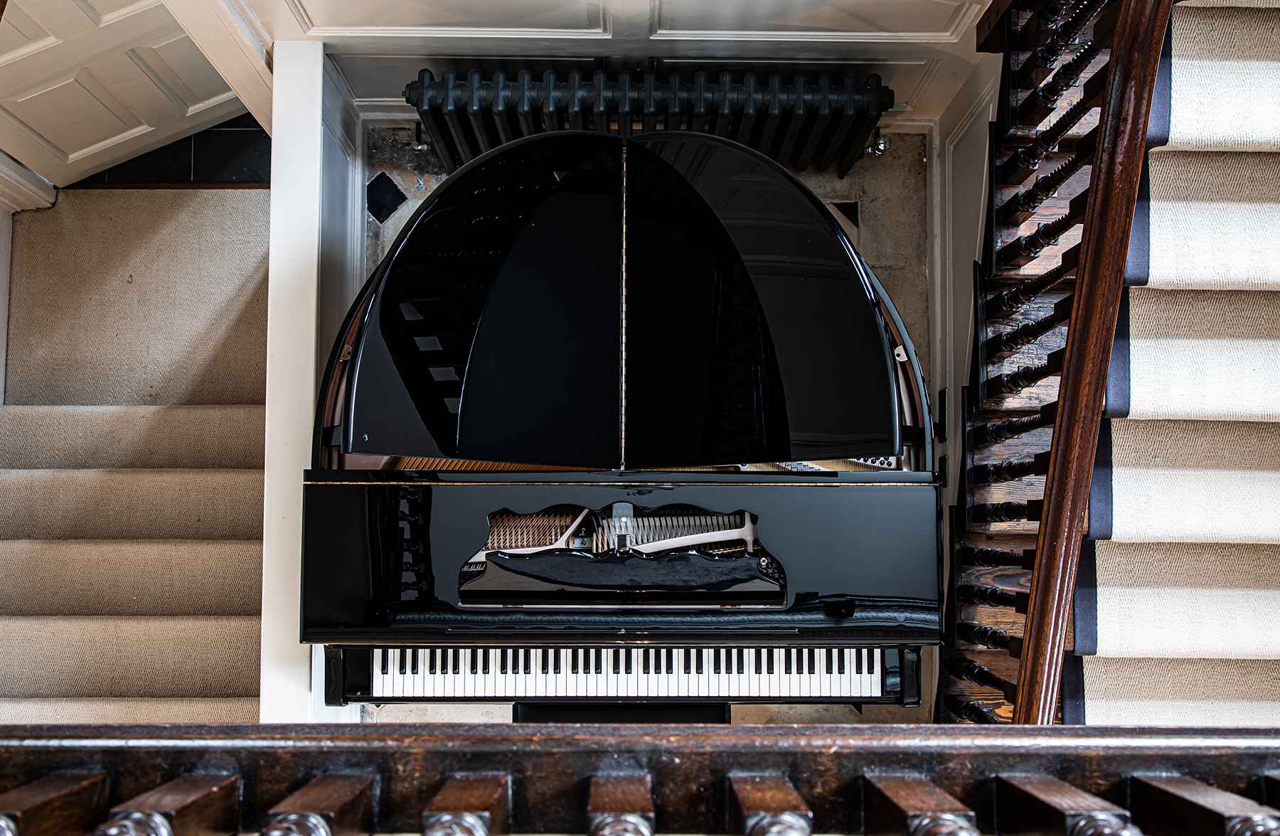 The Classic Black Sygnet(1)