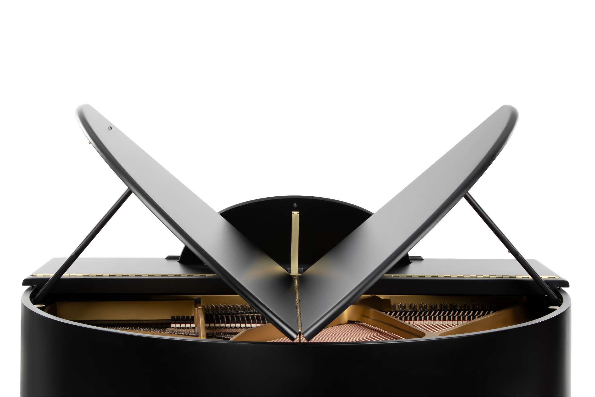 Classic Sygnet in Matt Black Finish(7)